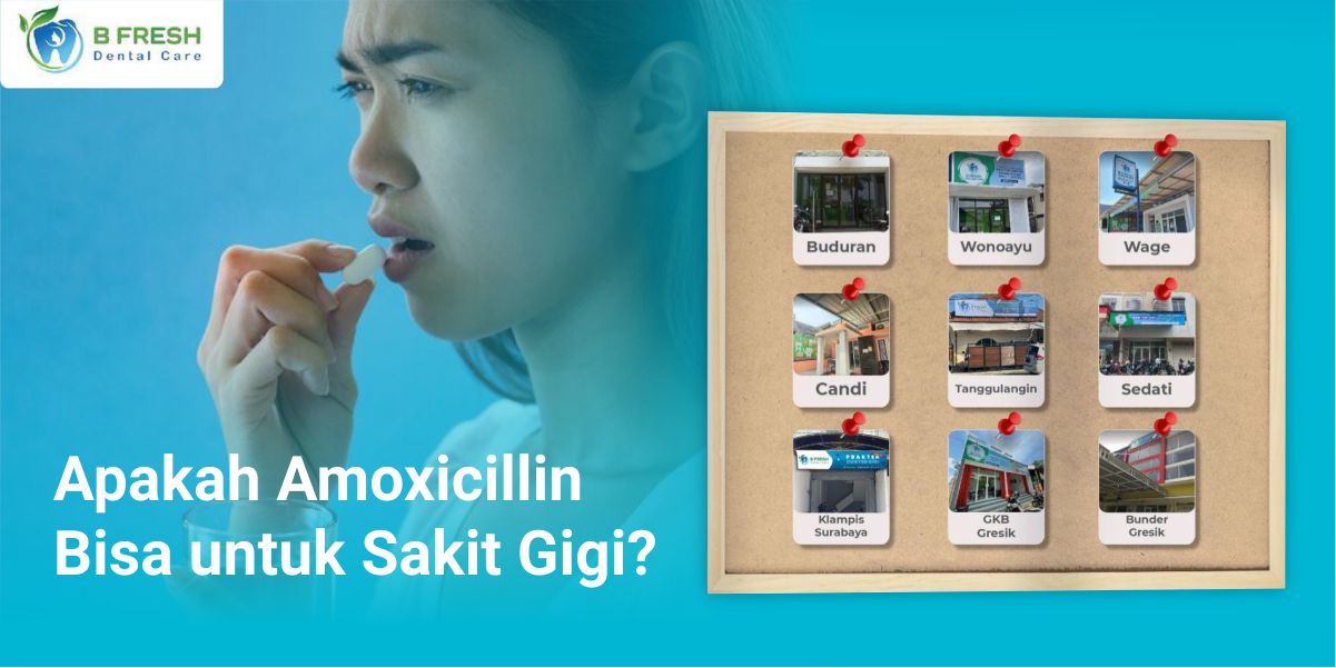 Apakah Amoxicillin Bisa Untuk Sakit Gigi?
