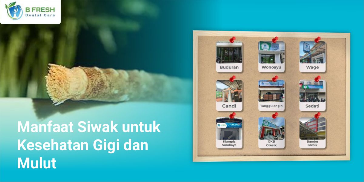 Manfaat Siwak Untuk Kesehatan Gigi Dan Mulut